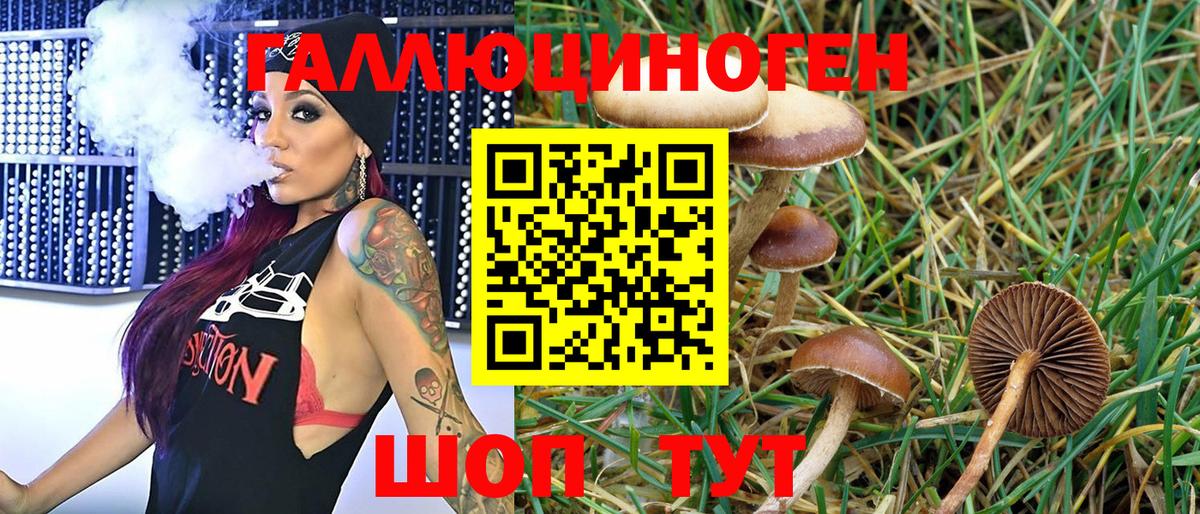Ялуторовск  Галлюциногенные грибы GOLDEN TEACHER  Вход с VPN 