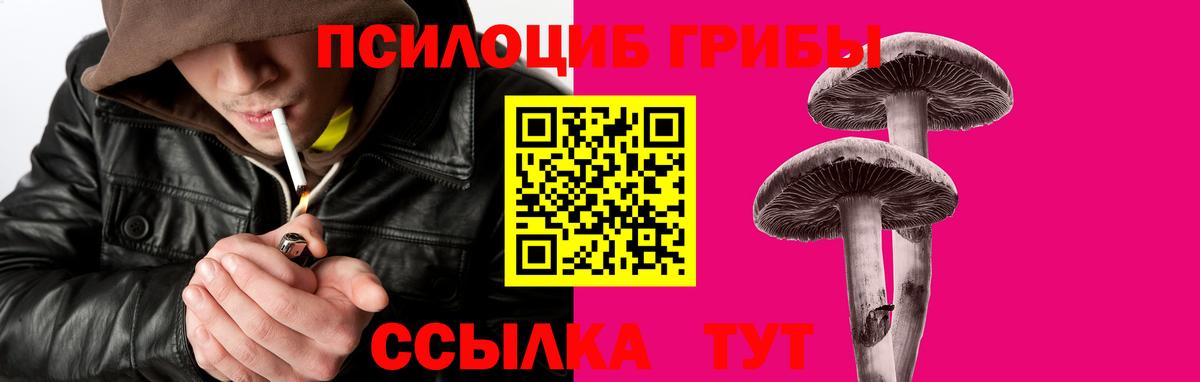 Псилоцибиновые грибы ЛСД Ялуторовск